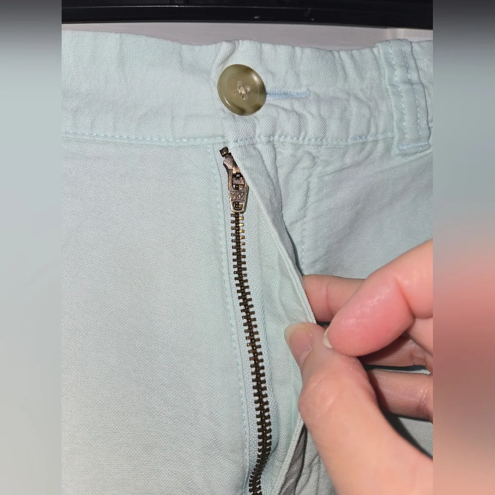 J.Crew Men's 32 Light Green Shorts